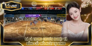 Đá gà Thomo